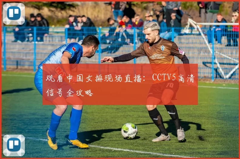 观看中国女排现场直播:CCTV5高清信号全攻略