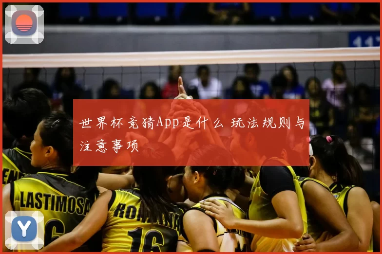 世界杯竞猜App是什么 玩法规则与注意事项