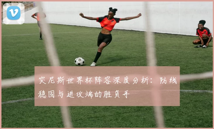 突尼斯世界杯阵容深度分析：防线稳固与进攻端的胜负手
