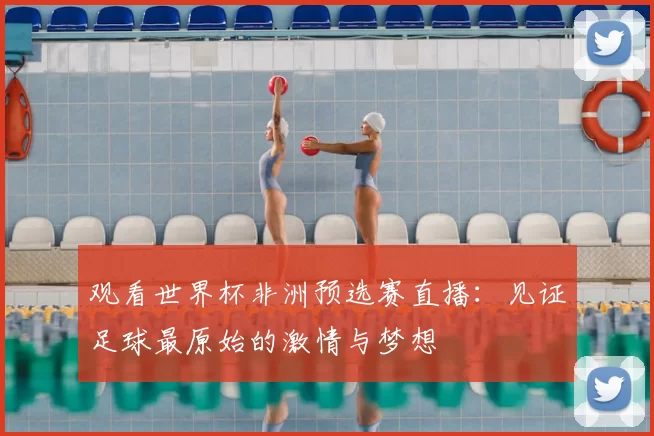 观看世界杯非洲预选赛直播:见证足球最原始的激情与梦想